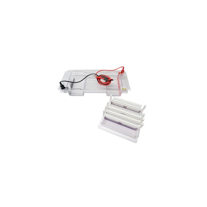 Cubeta Electroforesis horizontal, 900 mL