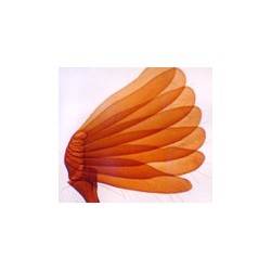 Antena de escarabajo, m.e.