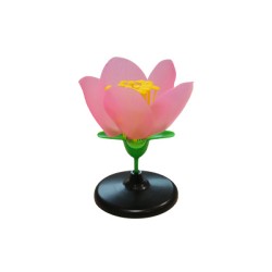 Flor de melocotón