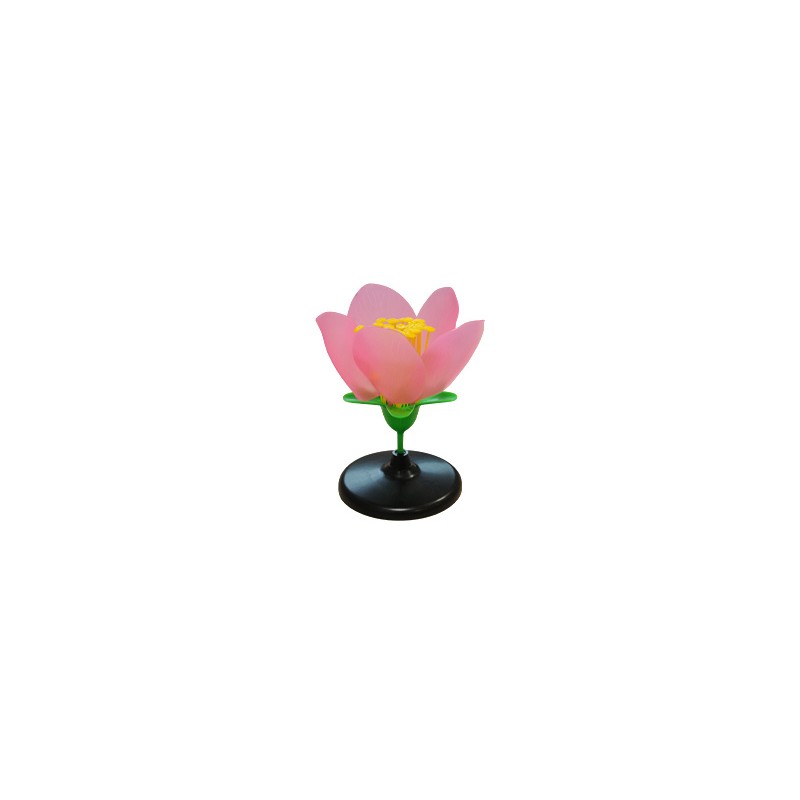 Flor de melocotón