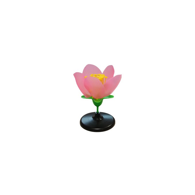 Flor de melocotón
