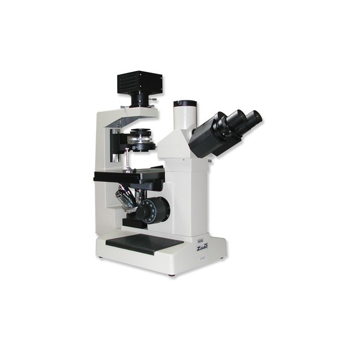 Microscopio biológico invertido 181