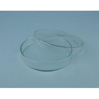 Caja Petri 40 mm