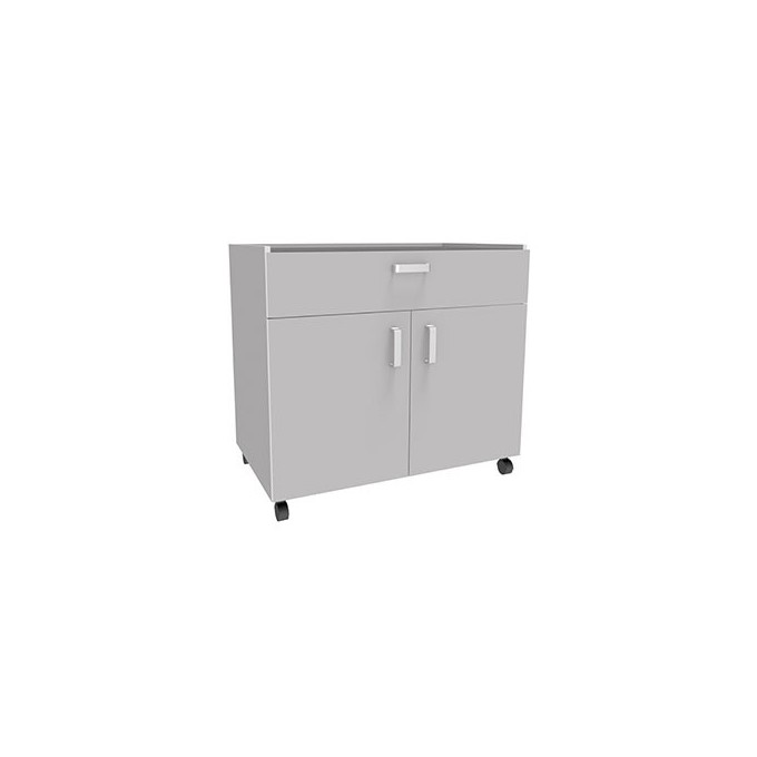 Mueble auxiliar con ruedas y dos puertas