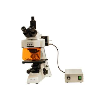 Microscopio Epi-fluorescencia 158 LED