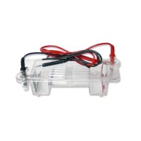 Electroforesis